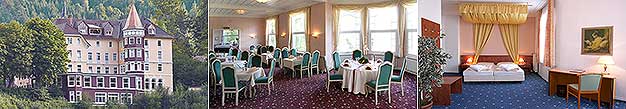781-hors Schlosshotel Schwarzwald Tagungshotel Baden-Württemberg Hotel Seminarhotel Schloss